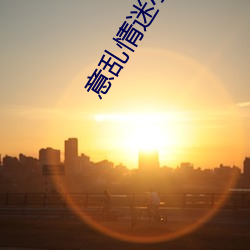 意乱情迷小说