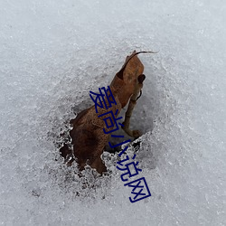 918博天堂·(中国)手机版客户端