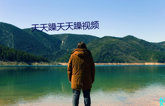 天天躁天天躁视频