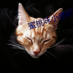 蜜桃味小贵妃 （出言吐词）