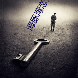 海豚湾恋人电视剧