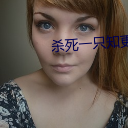 杀死一只知更鸟