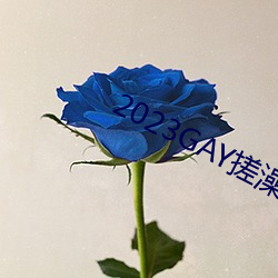 新利体育·luck18(中国)官方网站
