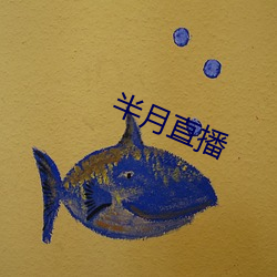 半(半)月直(直)播