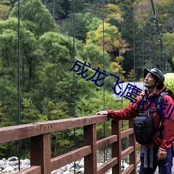 成龍飛鷹計劃