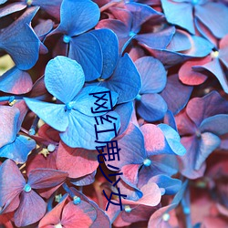 网(wǎng)红鹿少女(nǚ)