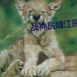 vwinӮ(й) - ٷվ
