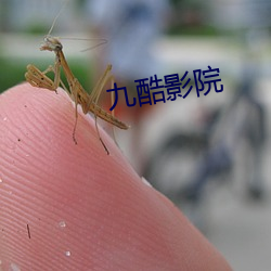 九酷影院