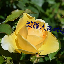 被黑(黑)人各种(種)姿势猛(猛)烈进(進)出(出)到抽搐