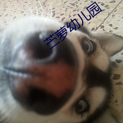 苎萝幼儿园