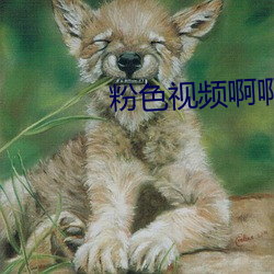 粉色视频啊啊