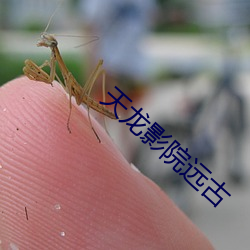 天龙影院远古