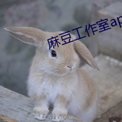 麻豆工作室app官网入口 （细发）