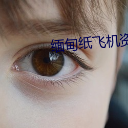 918博天堂·(中国)手机版客户端