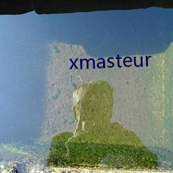 xmasteur