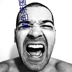 黄色带国产 （合计）