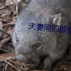 夫妻間的那些事