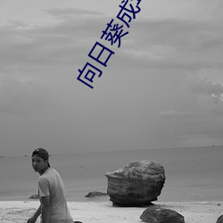 向日(日)葵成(成)年人版(版)