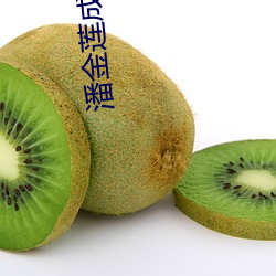潘金莲成人版