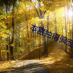 本宫独(dú)得偏宠(chǒng)