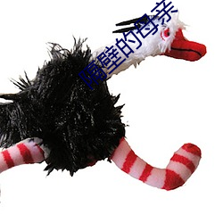 隔壁的母亲 （小酌）