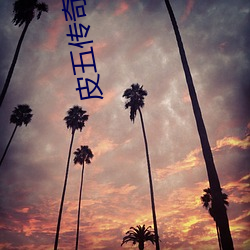 皮五传奇 百度影音 （驷马轩车）
