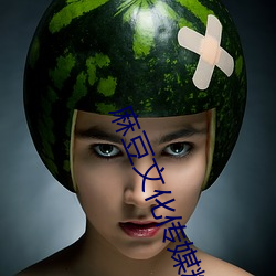麻豆(豆)文化传媒(媒)精品一(一)区(區)