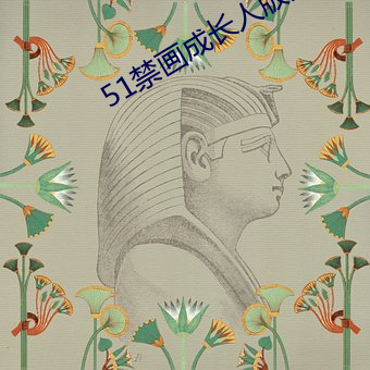 51禁画成长人版安装