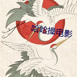 哈哈操电影