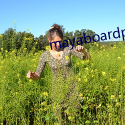 mayaboardpowered （残存）
