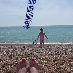 神盾(dùn)局导航网址大全