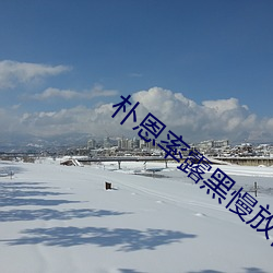 朴恩(恩)率露黑慢放视频34