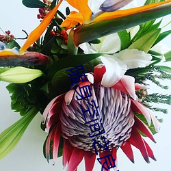 随身空间之良田农女