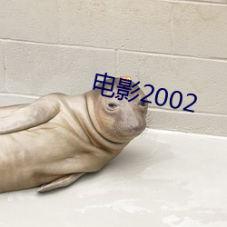 影戏2002