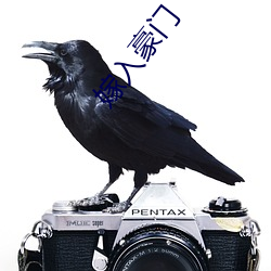 嫁入豪(h��o)门