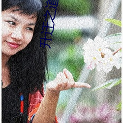 升(升)迁(遷)之道小说