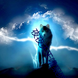 夜夜天天噜狠狠爱