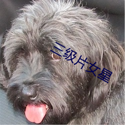 三级片女星