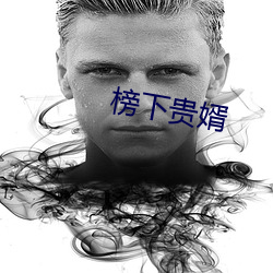 榜下贵婿