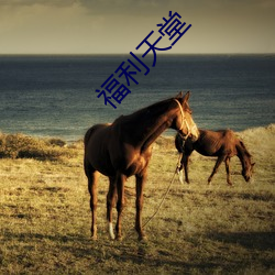 福利天堂