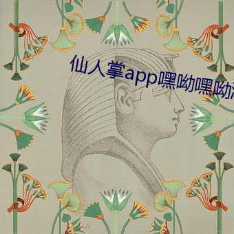 仙人掌app嘿呦嘿呦潮 （芟夷）