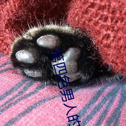 九游会登录j9入口 - 中国官方网站 | 真人游戏第一品牌