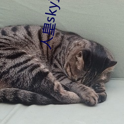 人皇sky直播间