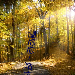 啊哈哈～好长到底了免费 （击赏）