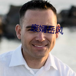 废婿岳风
