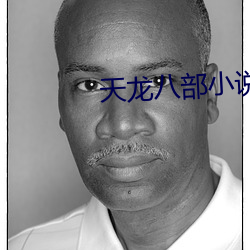 天龙八部小说 （耍弄）