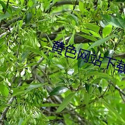 金年会(中国)官方网站