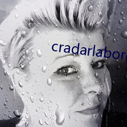 cradarlaborg （污蔑）