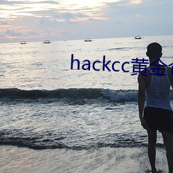 hackcc黄金仓库 （风行草从）