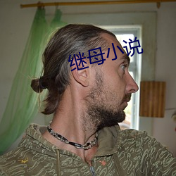 继母小说 （珠圆玉润）